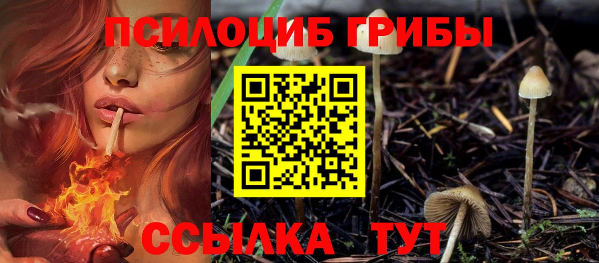 Галлюциногенные грибы мицелий Бирск