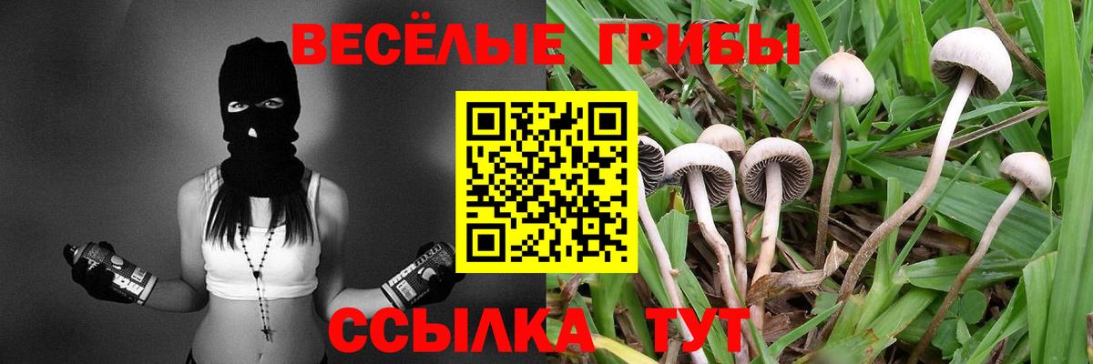 Бирск  Галлюциногенные грибы ЛСД  Вход с VPN 